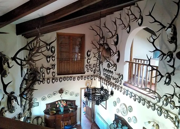 Vakantiehuis La Cirujana De Gredos *