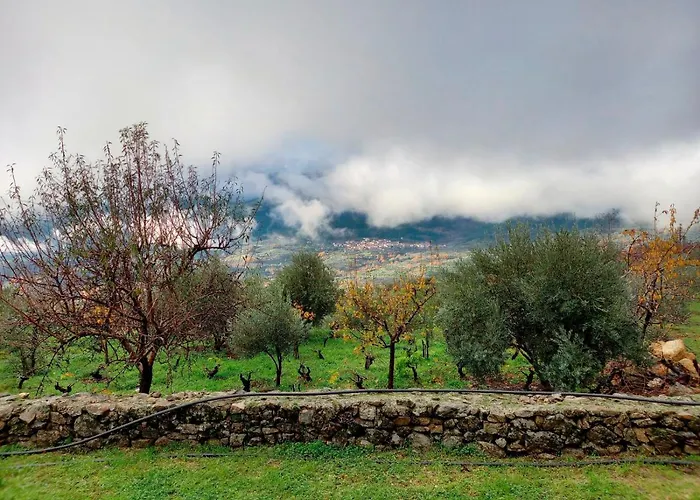 La Cirujana De Gredos San Esteban Del Valle
